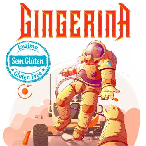 Vila Dionísio Gingerina - com enzima Gluten Free*